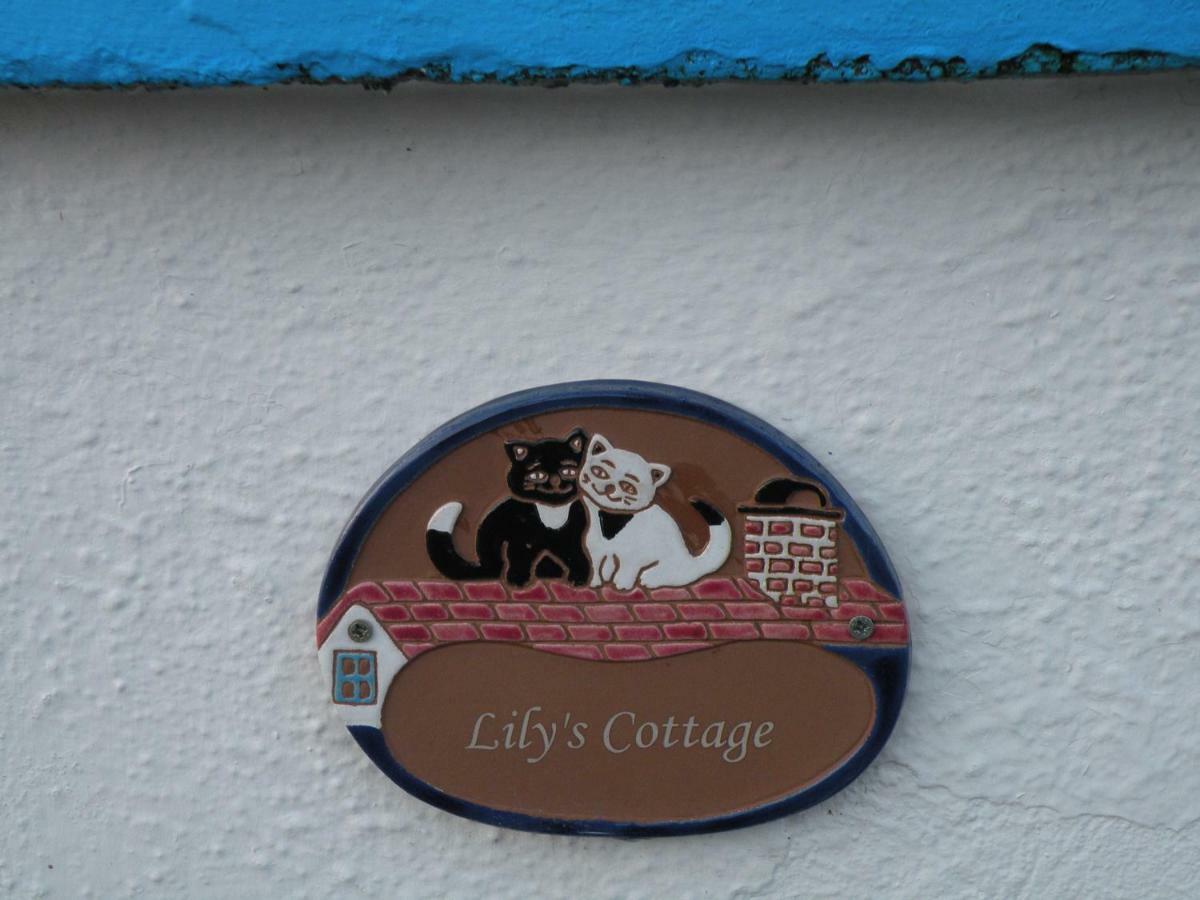 Lily'S Cottage Newcastle West Exterior photo